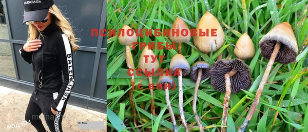 герыч Верхний Тагил