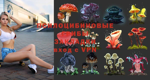крисы Верхнеуральск