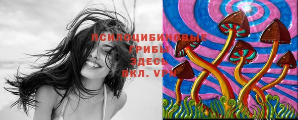 крисы Верхнеуральск